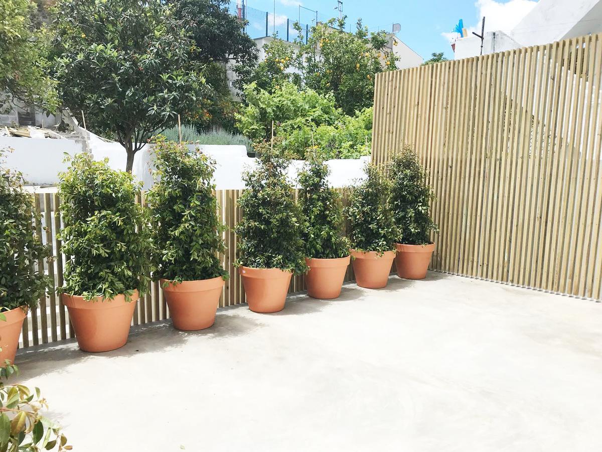 里斯本格拉萨舒适公寓 Lisboa 外观 照片